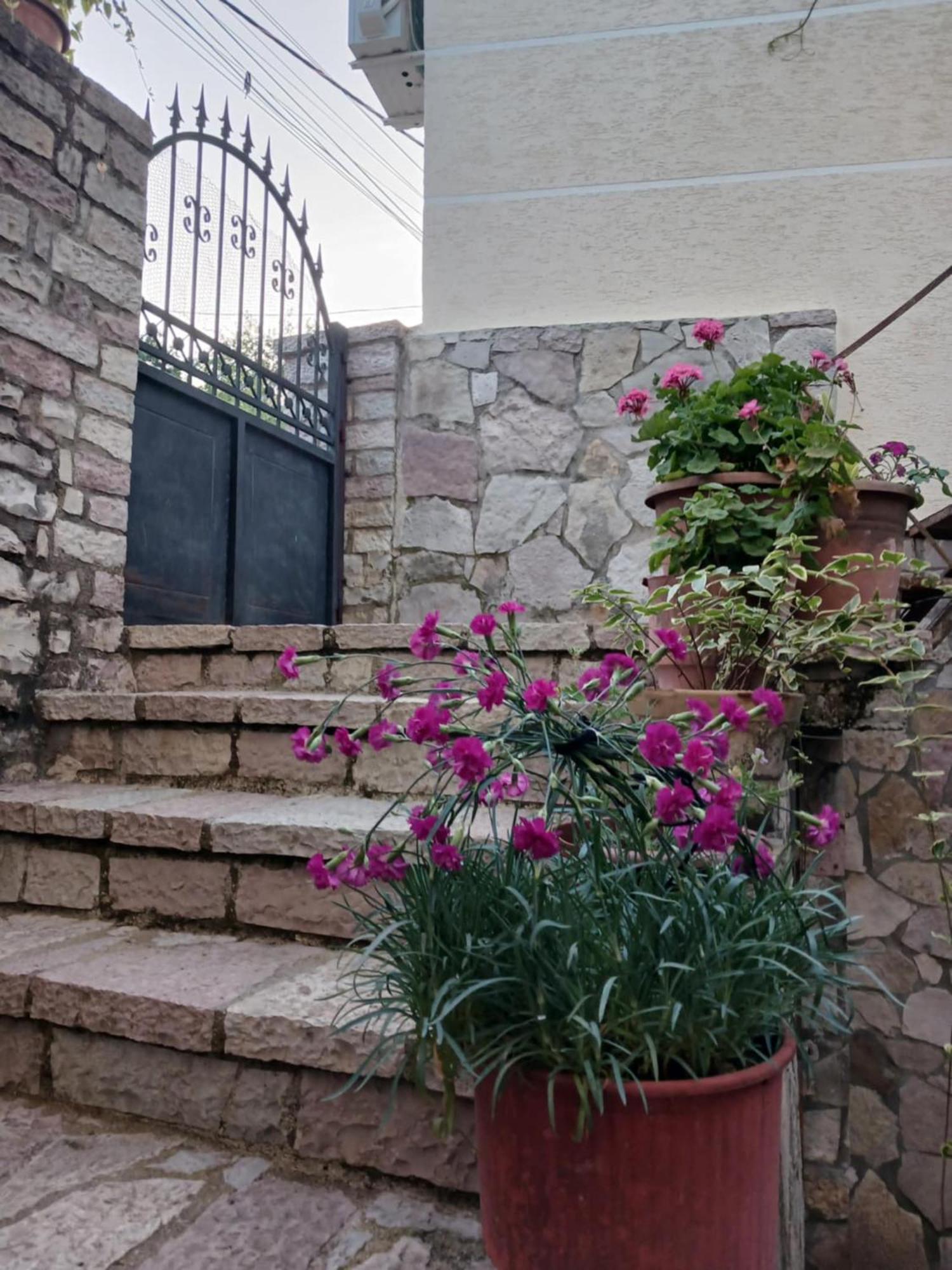 Eniguesthouse Gjirokaster Exterior photo